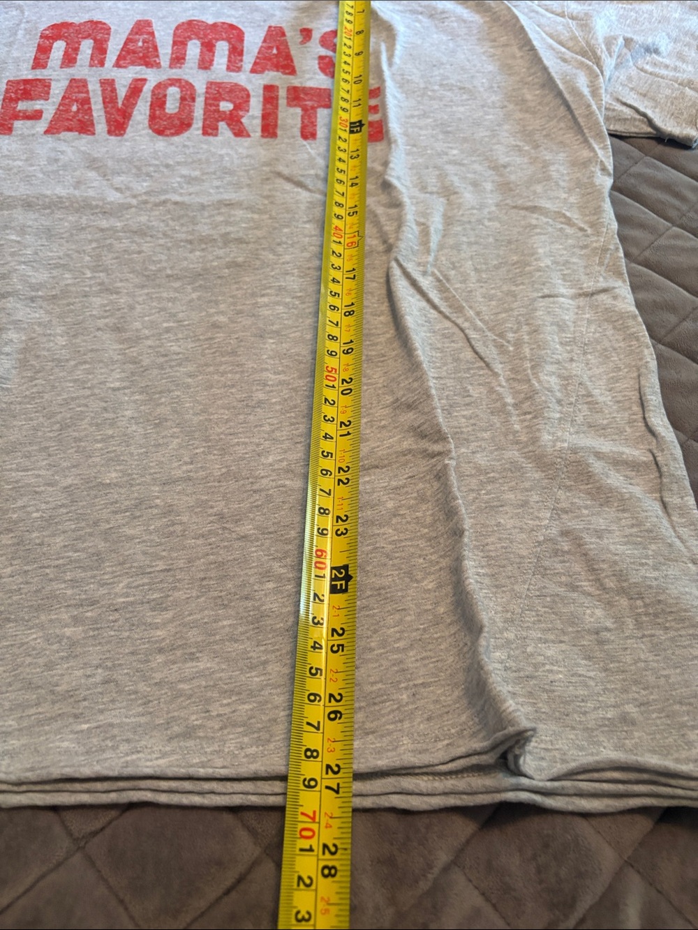 Aerie oversized boyfriend Short-Sleeve Tee in Gray with Red Graphic - Picture 3 of 5